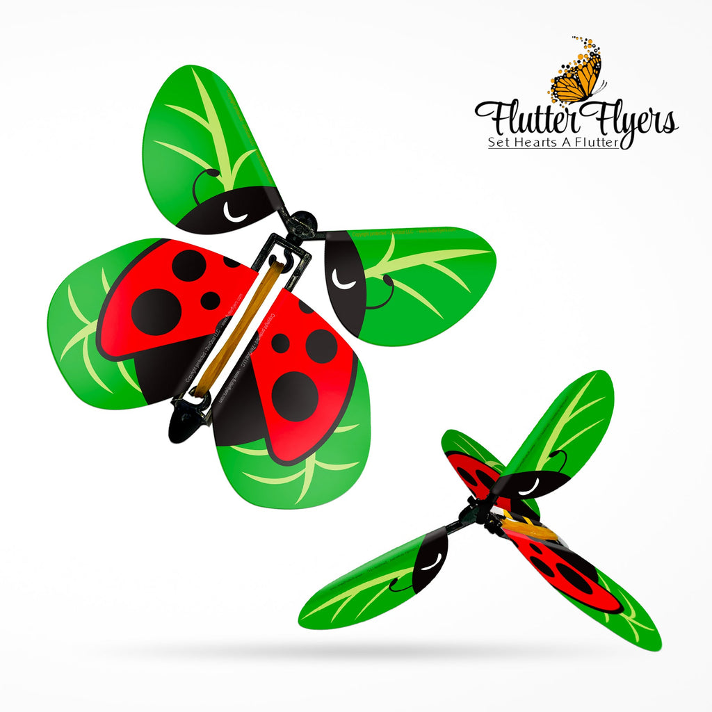 FlutterFlyers